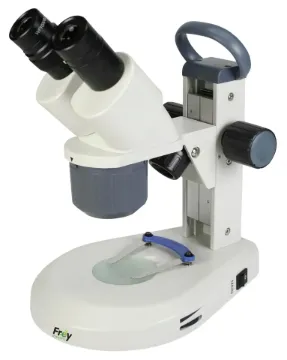 SS245974_1.jpg