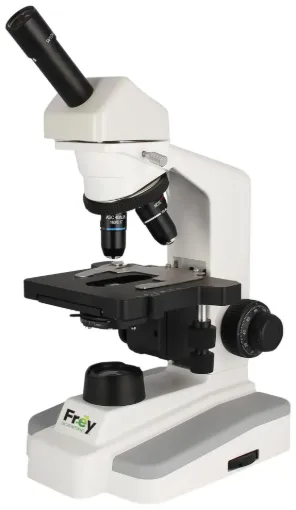 SS245988_1.jpg
