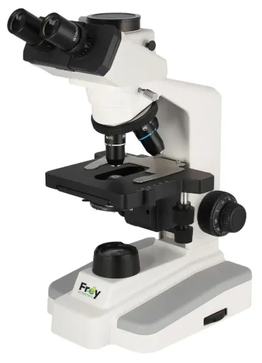 SS245969_1.jpg