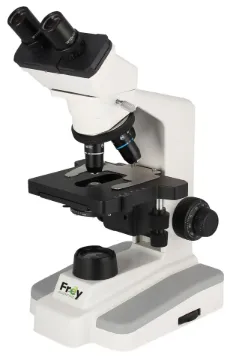 SS245971_1.jpg