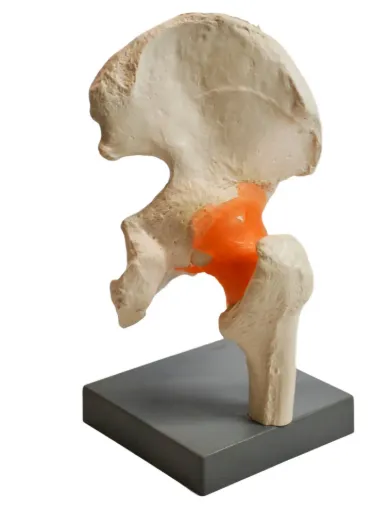 SS246129_1.jpg