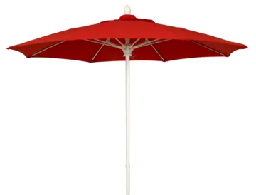 SS246708_1.jpg