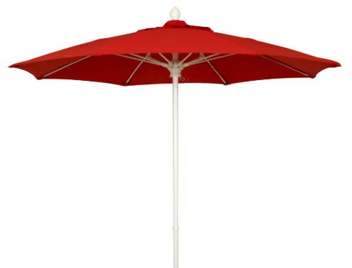 SS246708_1.jpg