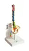 SS172894_1.jpg