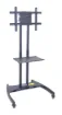 SS163677_1.jpg