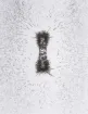 2040122_4.jpg