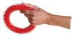 SS185137_1.jpg