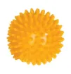 SS185138_1.jpg