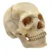 2040018_2.jpg