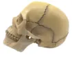 2040018_1.jpg
