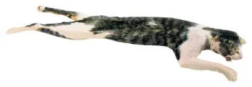 2040078_1.jpg