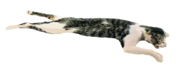 2041238_2.jpg