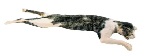 2041238_2.jpg
