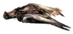 2041256_2.jpg