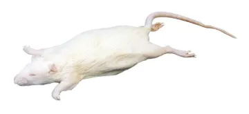 2041264_4.jpg