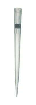 2093343_1.jpg