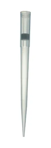 2093343_1.jpg