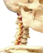 2094385_2.jpg