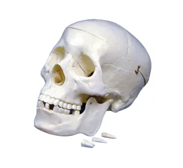 2094388_1.jpg