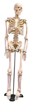 2094438_1.jpg