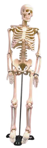 2094438_1.jpg