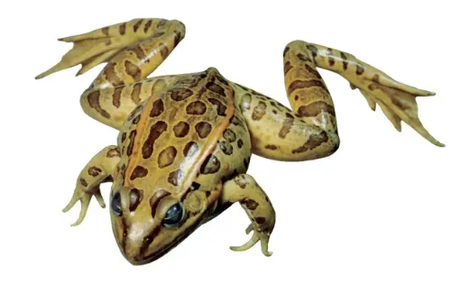 1496517_1.jpg