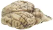 1496527_1.jpg