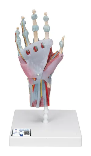 2091094.jpg