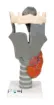 SS188247_1.jpg