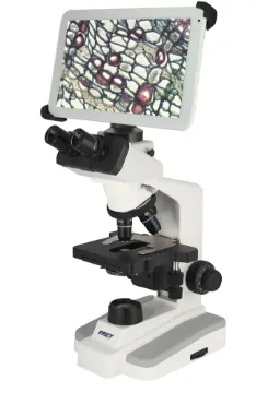 2095571_1.jpg