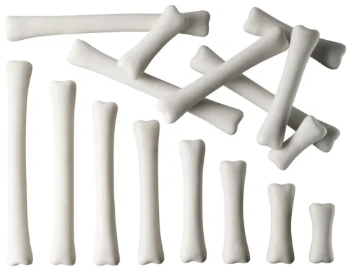 2024466.jpg