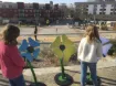 2038852.jpg