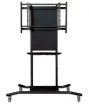 SS180359_1.jpg