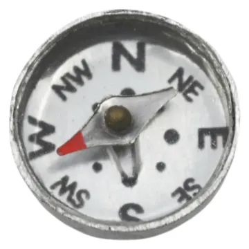 2022906.jpg