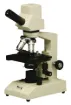 SS142433_1.jpg