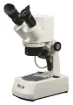 SS142439_1.jpg