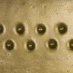409886.jpg