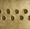 409886_1.jpg