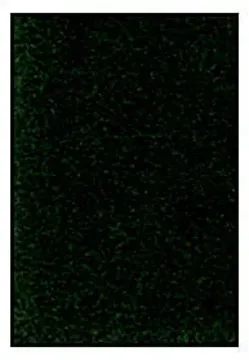 405193.jpg