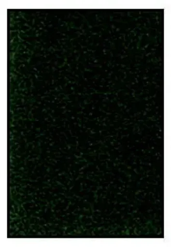 405193.jpg