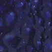 407175.jpg