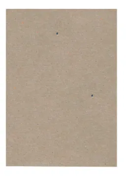 411318.jpg