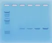 1293213.jpg