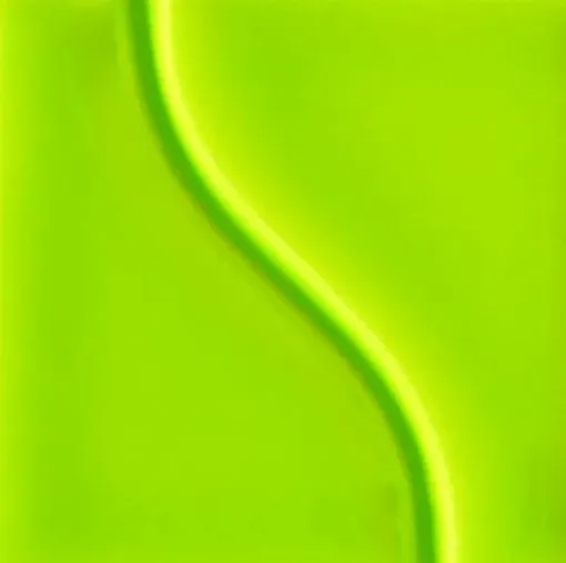 1300255.jpg
