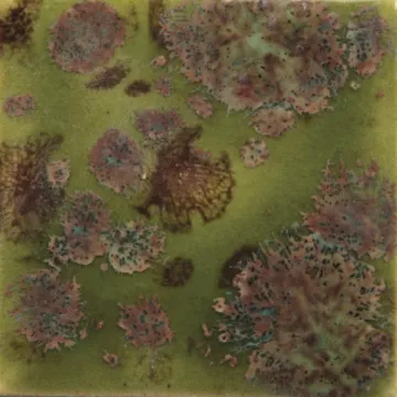 1300261.jpg