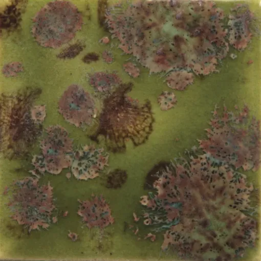1300261.jpg