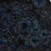 SS148735_1.jpg