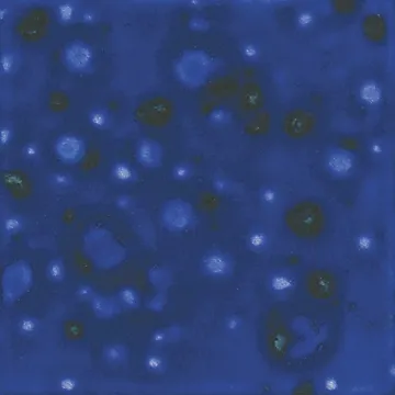 1300265.jpg