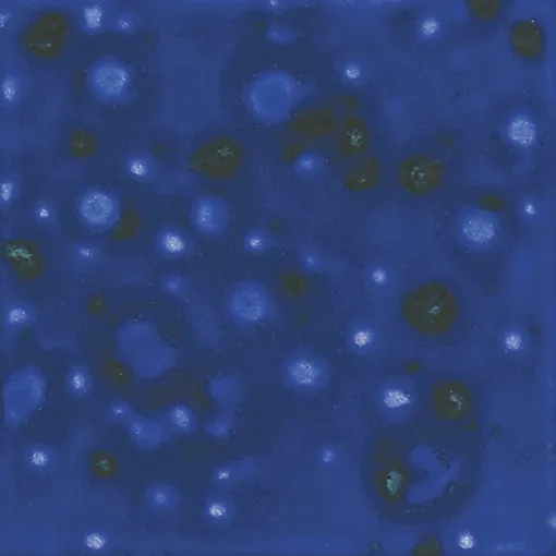 1300265.jpg