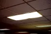 1303374.jpg